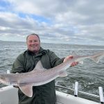 Mooie haai gevonden in de Noordzee