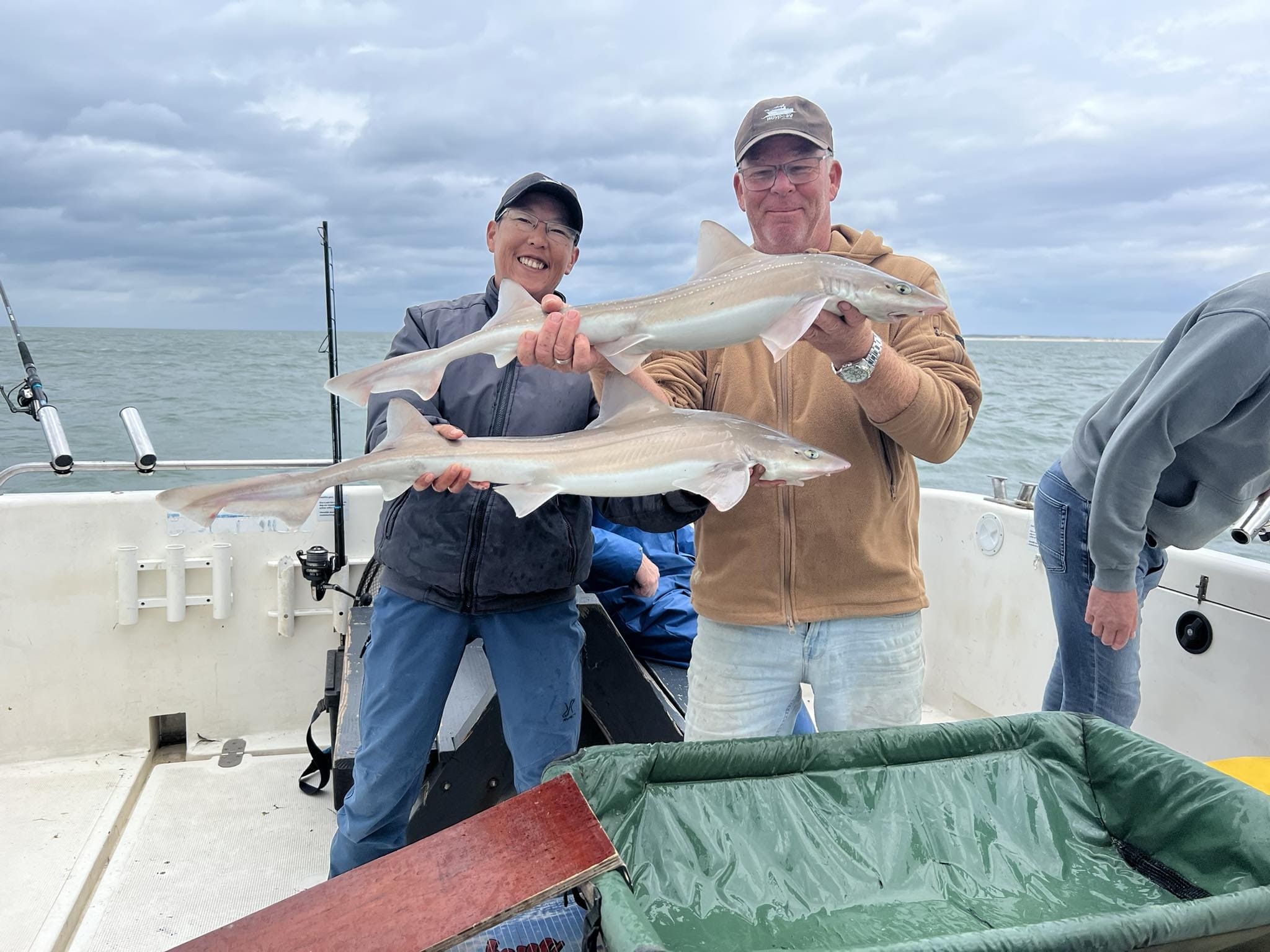 Dubbele haaien vangst door waypoint vis charters