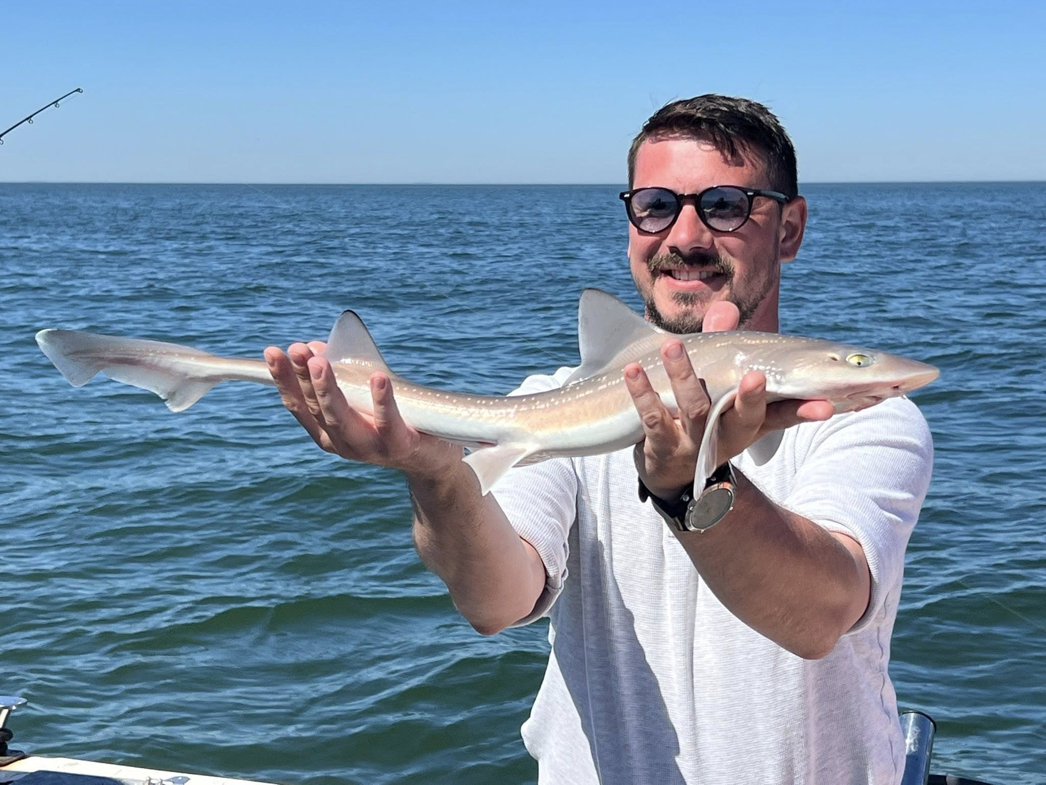 Vis waypoint sport vis charters